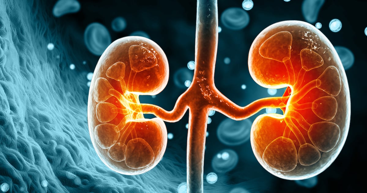 Emerging evidence challenges long-standing concerns over creatine and kidney health