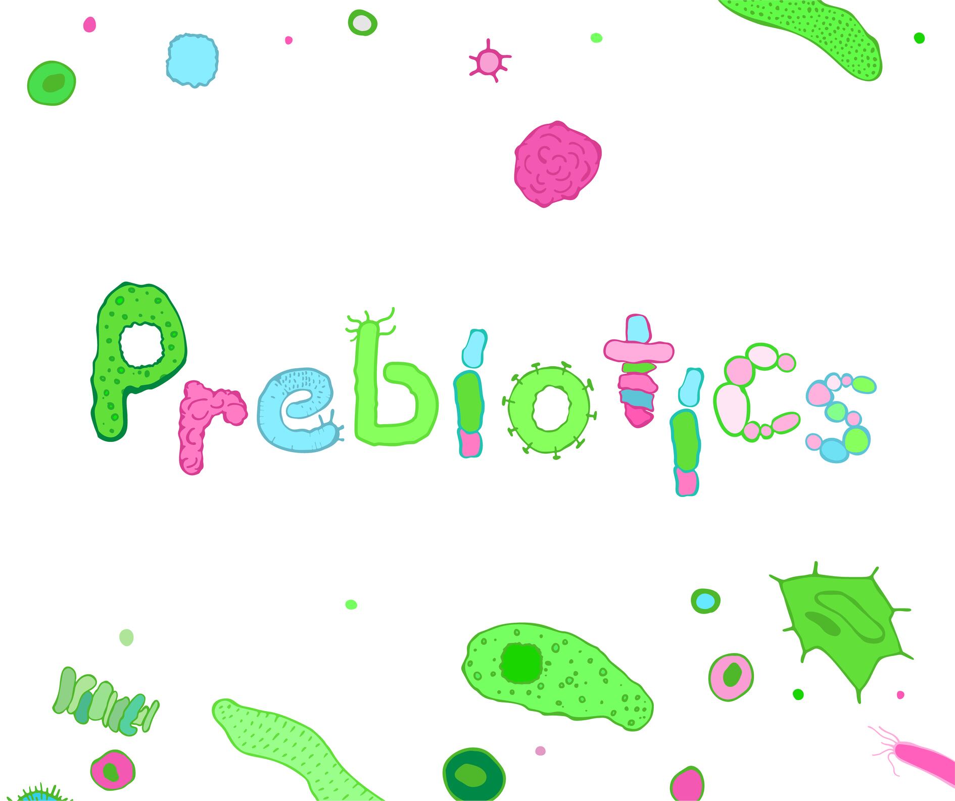 Prebiotics-C-Getty-Images-newannyart.jpg
