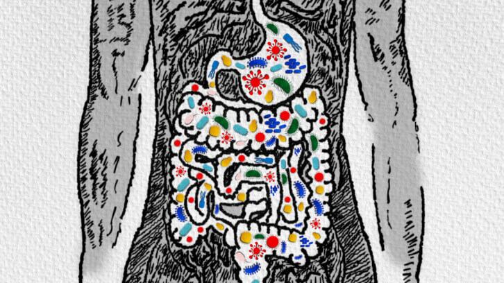 Applying community ecology concepts to ensure long-term microbiome modulation