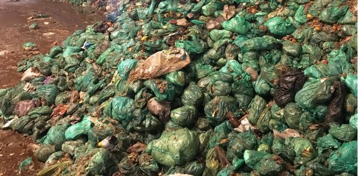 Danish-team-harness-method-to-turn-biowaste-into-protein-supplements.jpg