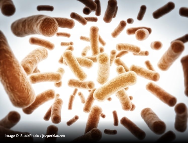 Novel spray-drying technology enhances probiotic viability in the digestive tract