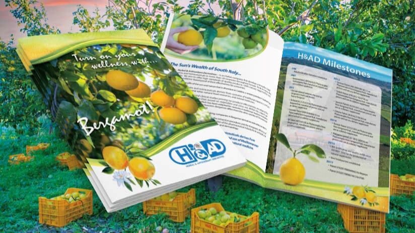 5 Key Ingredients for Heart, Liver & Metabolic Health