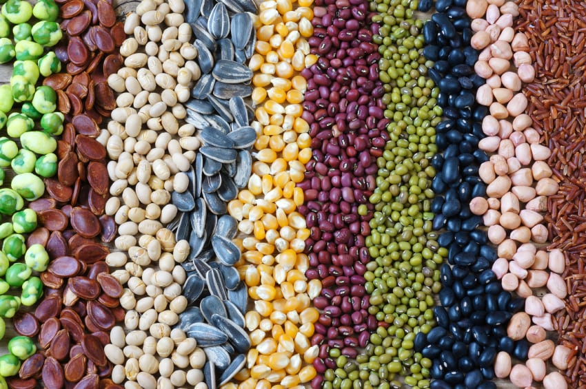 Millions-risking-nutritional-deficiencies-as-CO2-levels-rise.jpg
