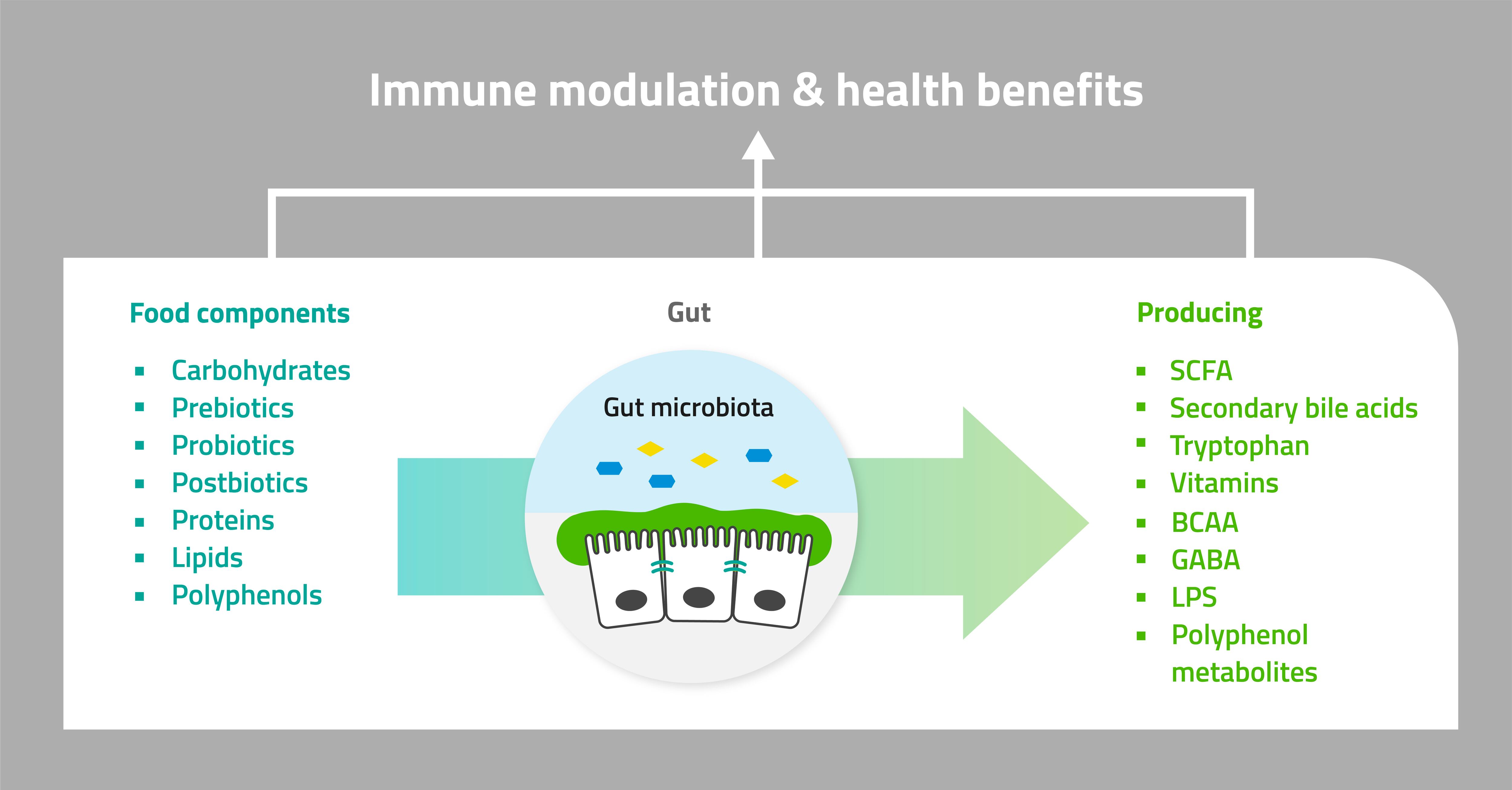 graphic-Immune-modulation-health-benefits.jpg