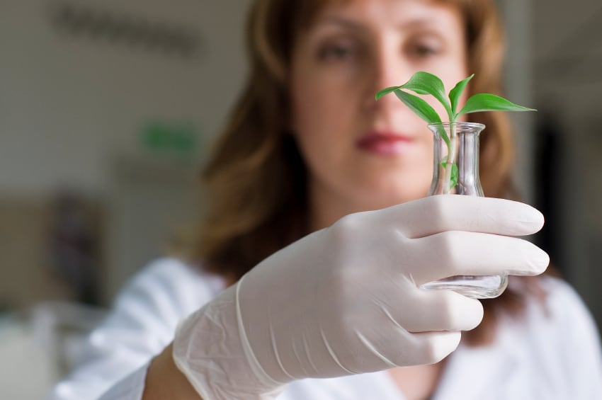 botanical-gm-plant-research-iStock.com-mtr.jpg