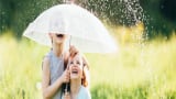Respiratory infections: CRL 1505, a probiotic that can help 