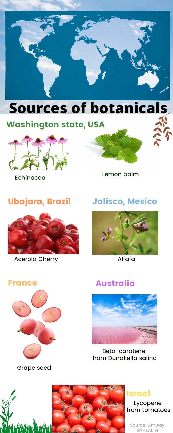 vitaminsights-jul-2022.png