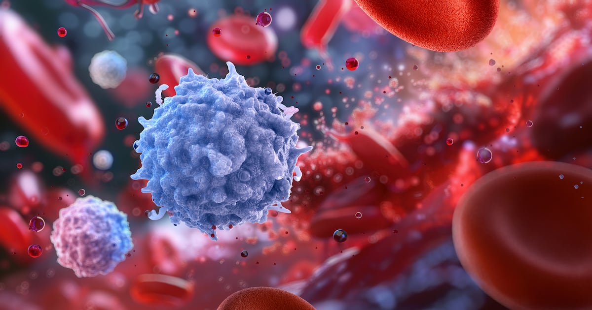 Acute intake of Cargill’s postbiotic EpiCor rapidly alters immune markers