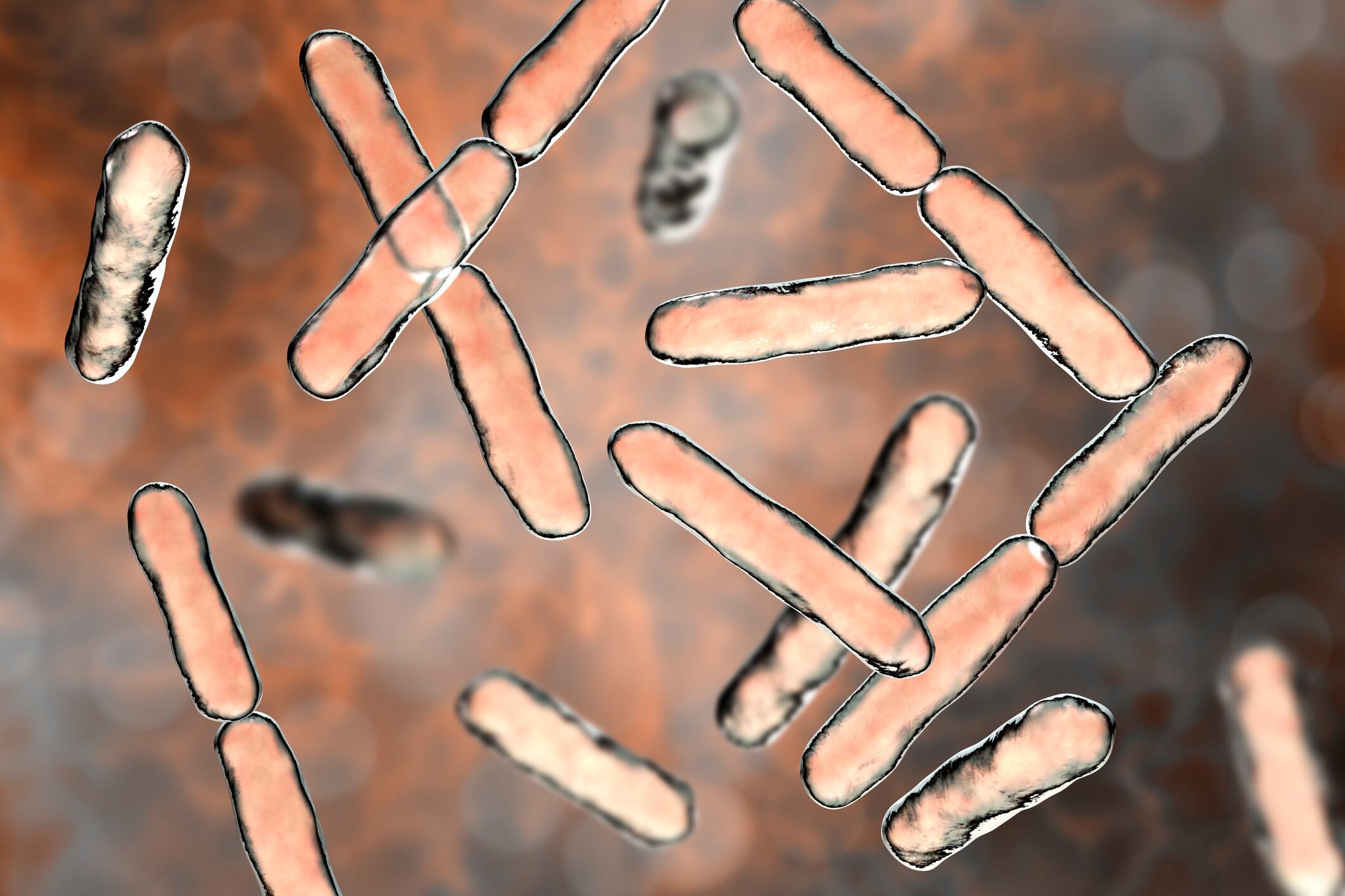 No BBC, probiotics are not 'quite useless'