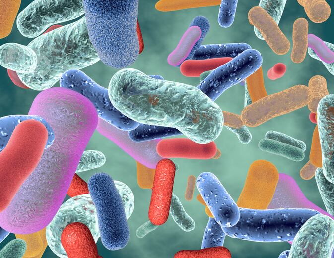 Researchers propose ‘Probiotics Identity Card’ based on DNA and flow cytometry
