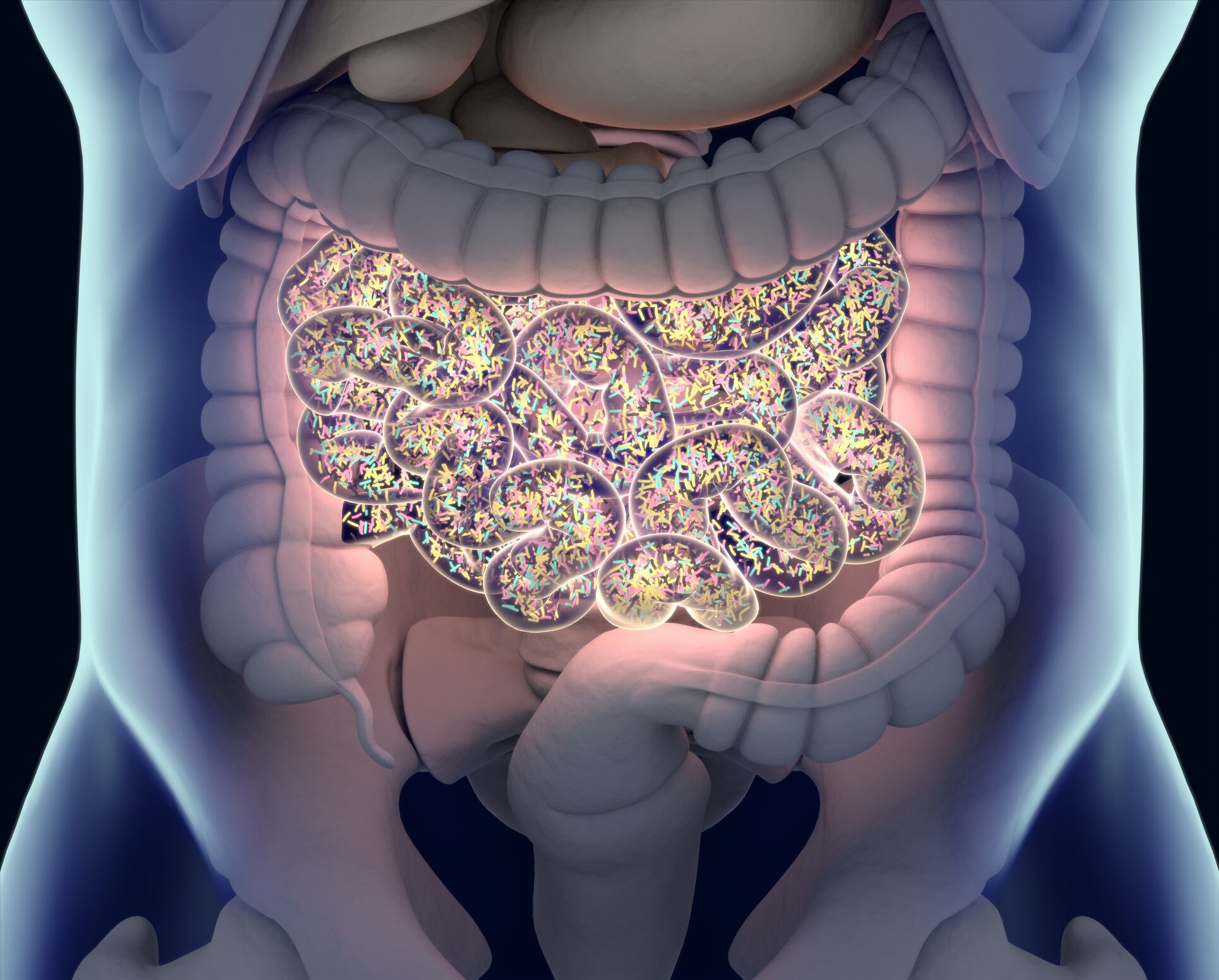First-of-its-kind study reveals germination of spore-forming probiotic in GI tract