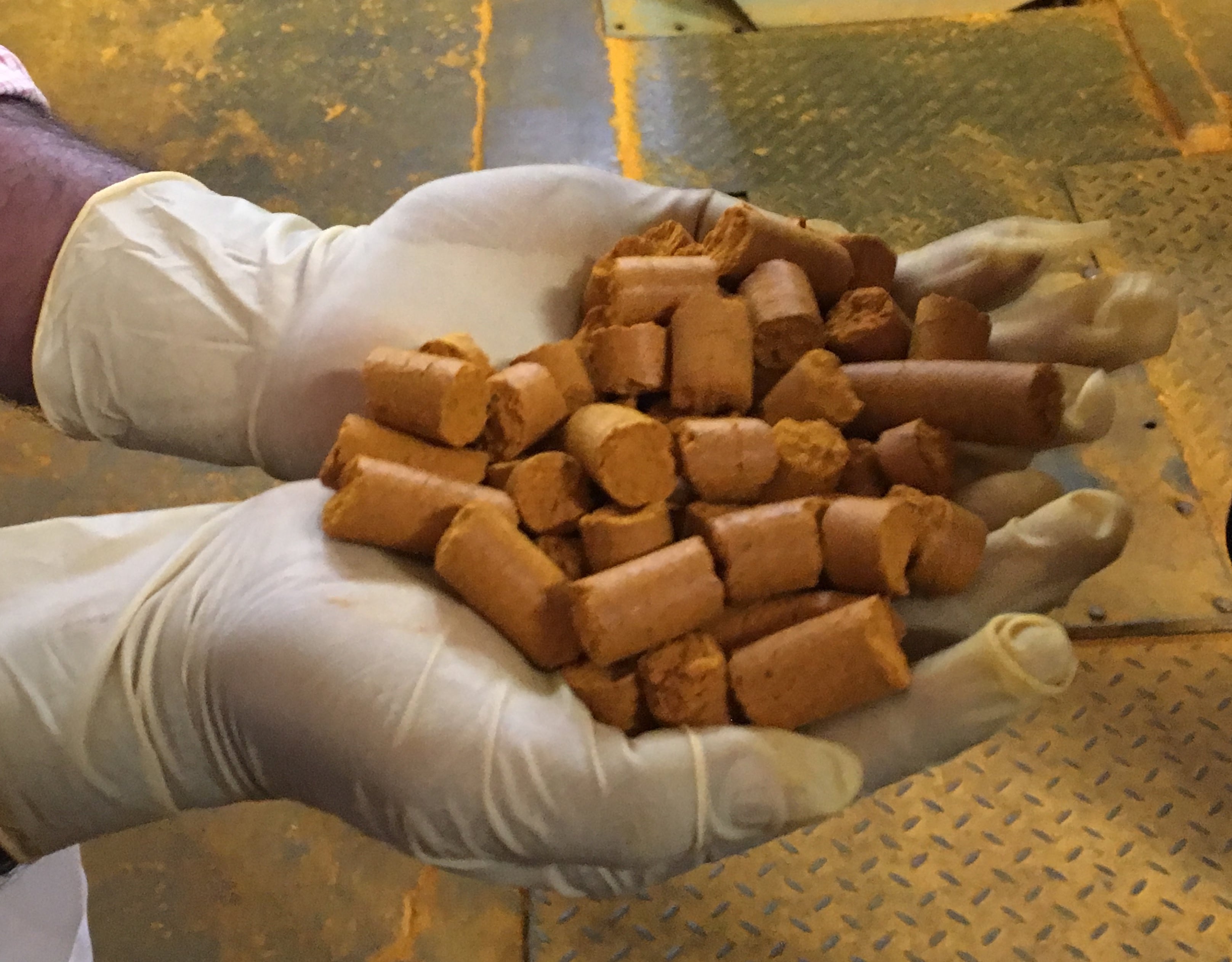 Once sprightly turmeric market showing signs of maturity