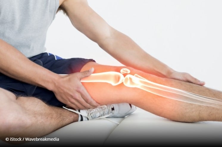 Continental gelatine trade associations unite to form global group