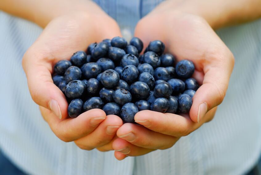 Nutrigenomic study underlines blueberries’ blood pressure-lowering abilities  
