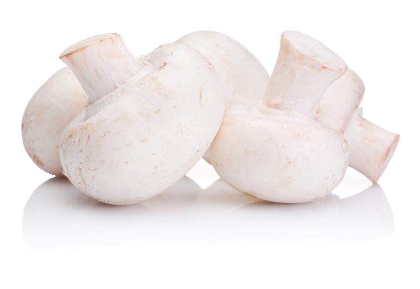 Mushrooms-may-exert-prebiotic-diabetic-risk-lowering-effect-suggests-study.jpg