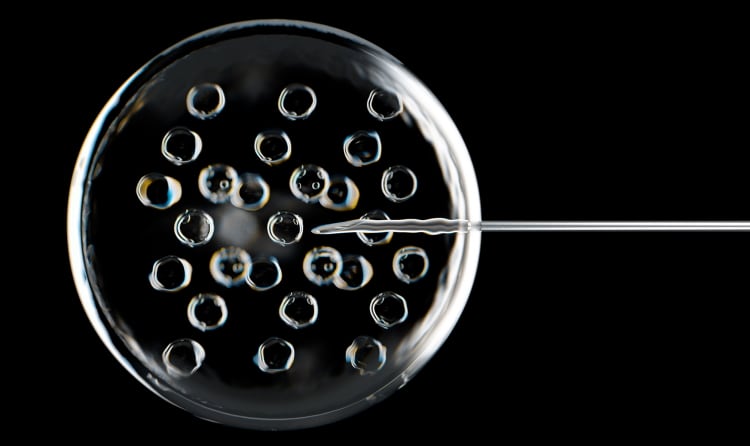 ‘We saw huge potential to disrupt the market’: biotech firm creates ‘world-first’ cultivated bovine lactoferrin