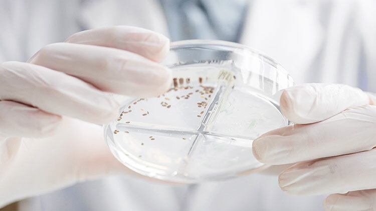 In-vitro-in-vivo-Validation-of-Stimulatory-Effect-of-Oat-Ingredients-on-Lactobacilli.jpg