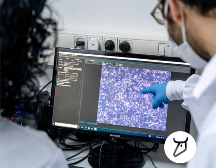 Israeli-start-up-is-set-to-launch-lab-grown-collagen-in-2024.jpg