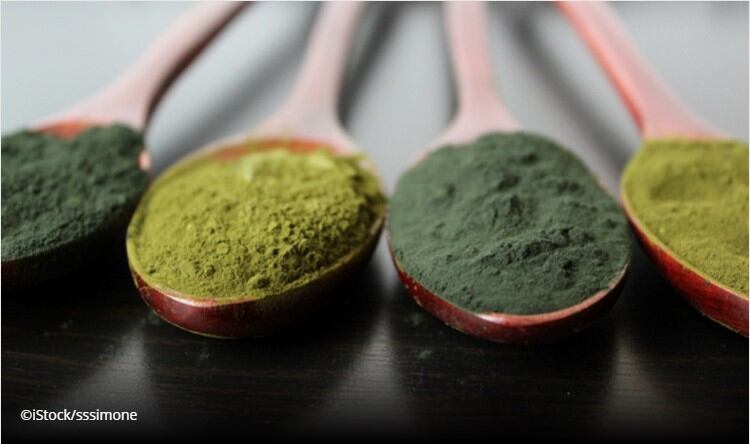 Fermentalg enters crowded omega-3 rich microalgae oil arena with Novel Food approval