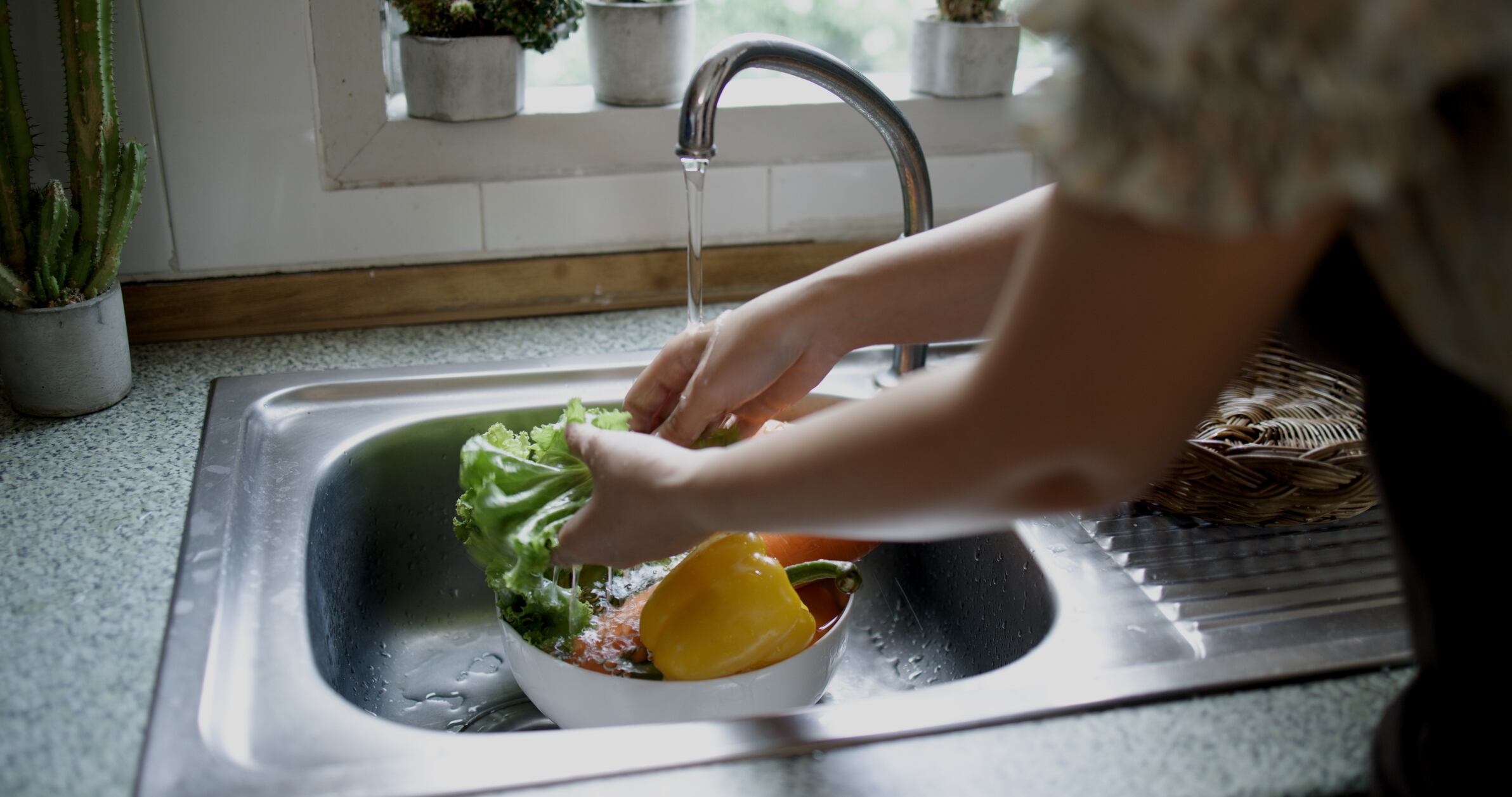 Microbial intake may be a missing piece in modern diets 