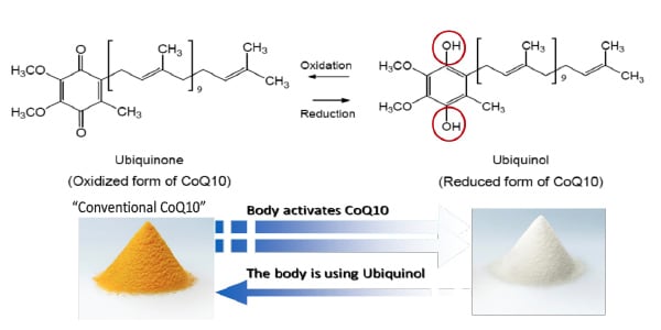 600x300_Ubiquinol3.jpg