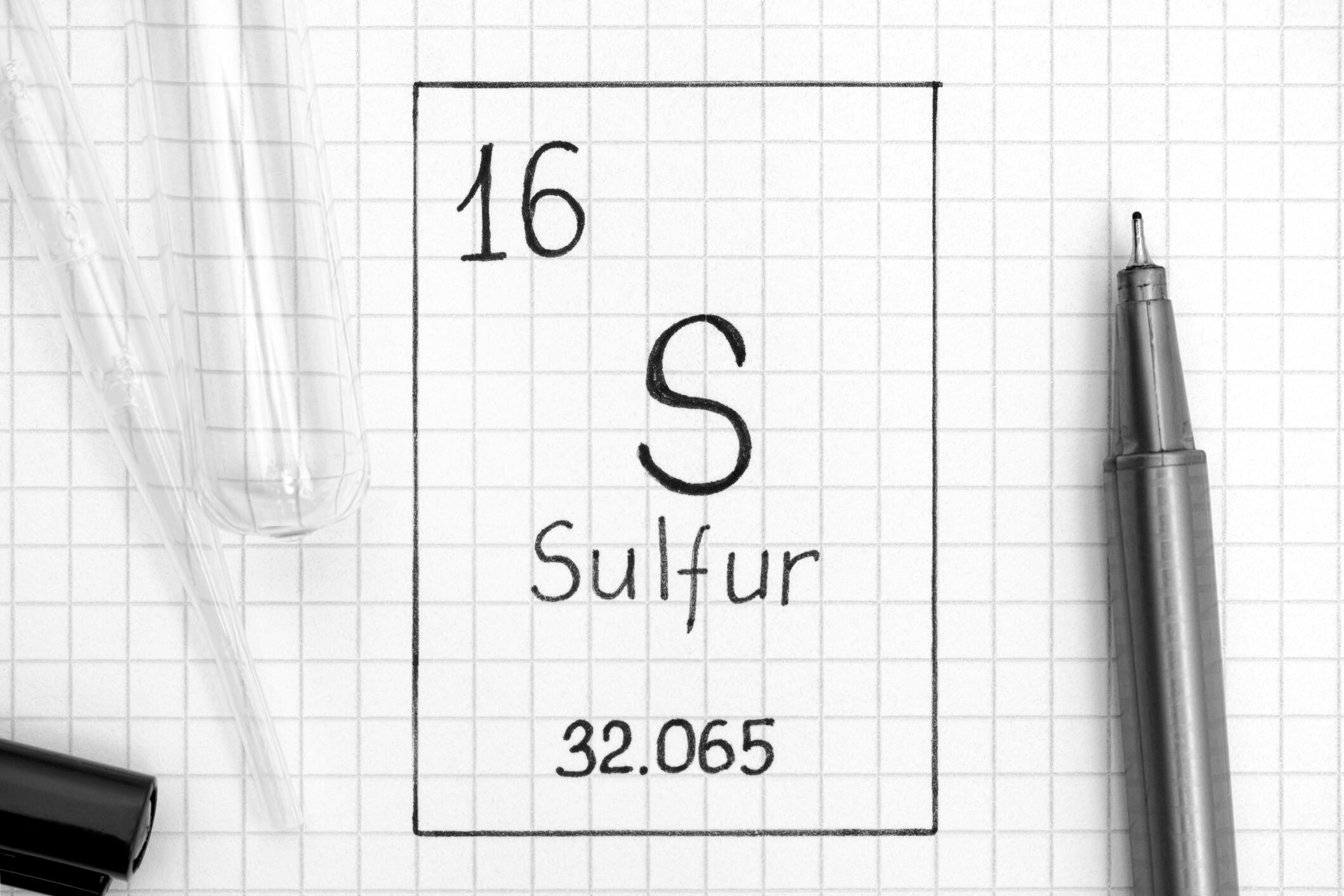 An-often-overlooked-major-nutrient-Review-highlights-importance-of-sulfur-for-human-health.jpg