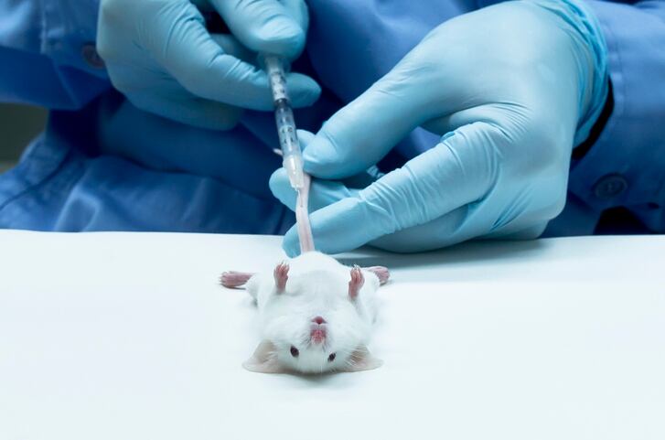 Scientists construct complex, complete prototype for the microbiome