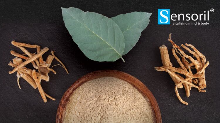 Sensoril-R-Ashwagandha-Harnessing-the-Whole-Plant-for-Optimal-Benefits.jpg