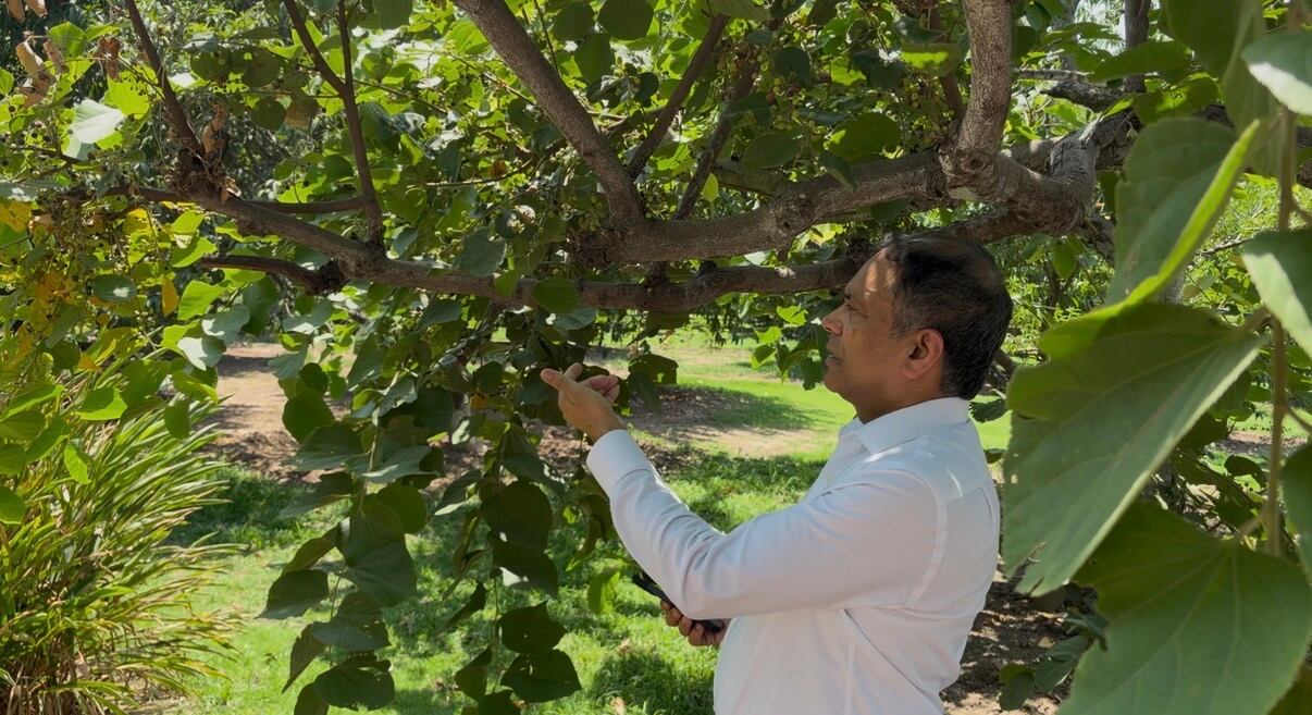 Farm to factory: Inside Cepham’s vertically integrated approach to ingredient innovation