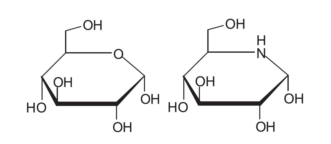 Q-actin molecular structure