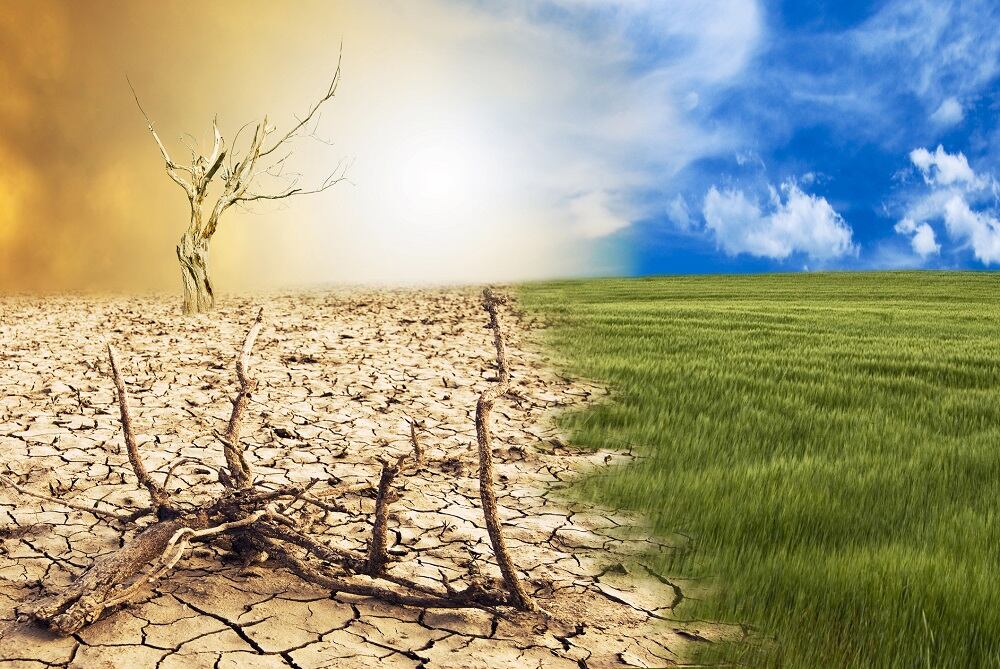 Global-warming-predicted-to-adversely-affect-crop-production-and-increase-undernutrition-study.jpg