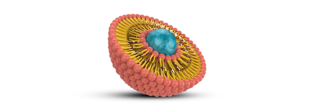 Liposome structure