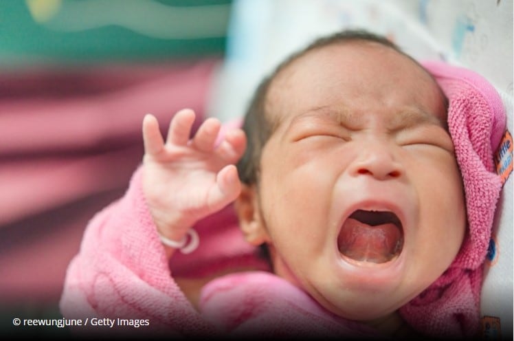 UK team provide more proof of maternal microbiome influence on baby development 