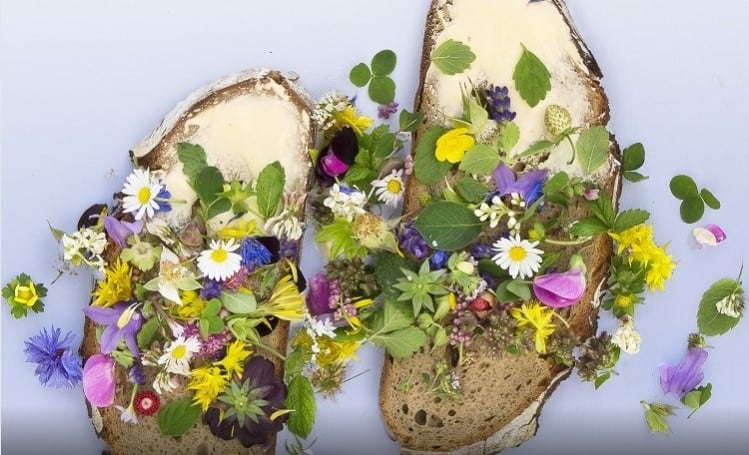 Scientists advise athletes to consume edible flowers to satisfy dietary fibre recommendations