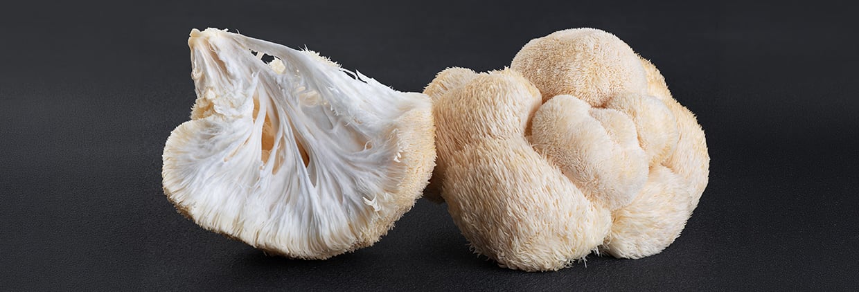 mushroom analytics