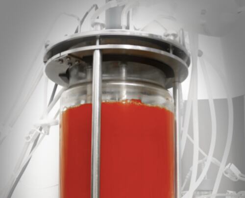 New astaxanthin player debuts armed with ‘dark fermentation’ patent