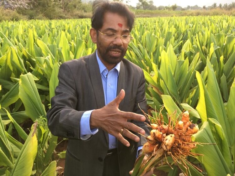 Contract-farming-system-solidifies-Sabinsa-s-supply-chain_wrbm_large.jpg