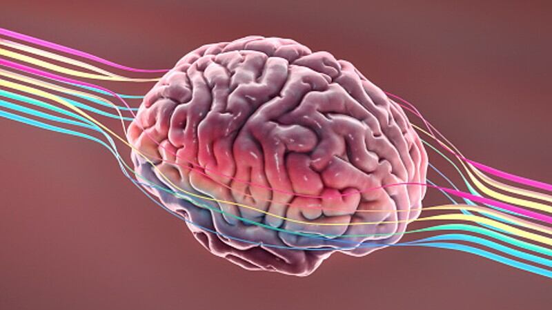Research for mental health: Huge scope for new studies on synergistic impact of ingredients  