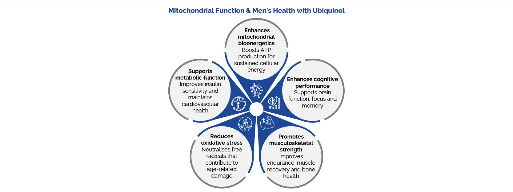 Mitochondrial function & men's health with ubiquinol
