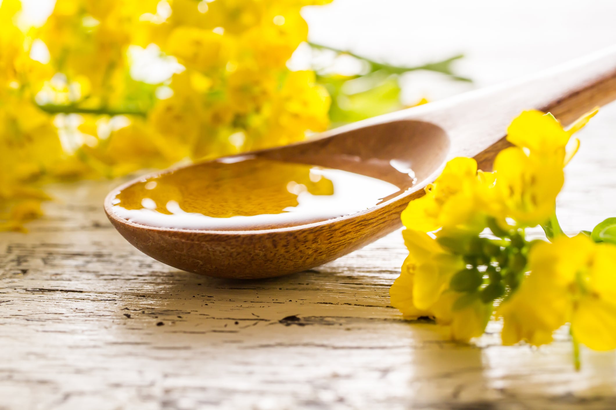 Nutriterra gets Health Canada approval for plant-based omega-3 oil