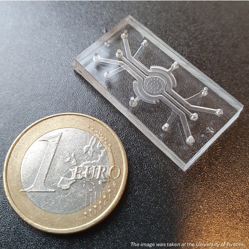 Nizo is using gut-on-chip technology