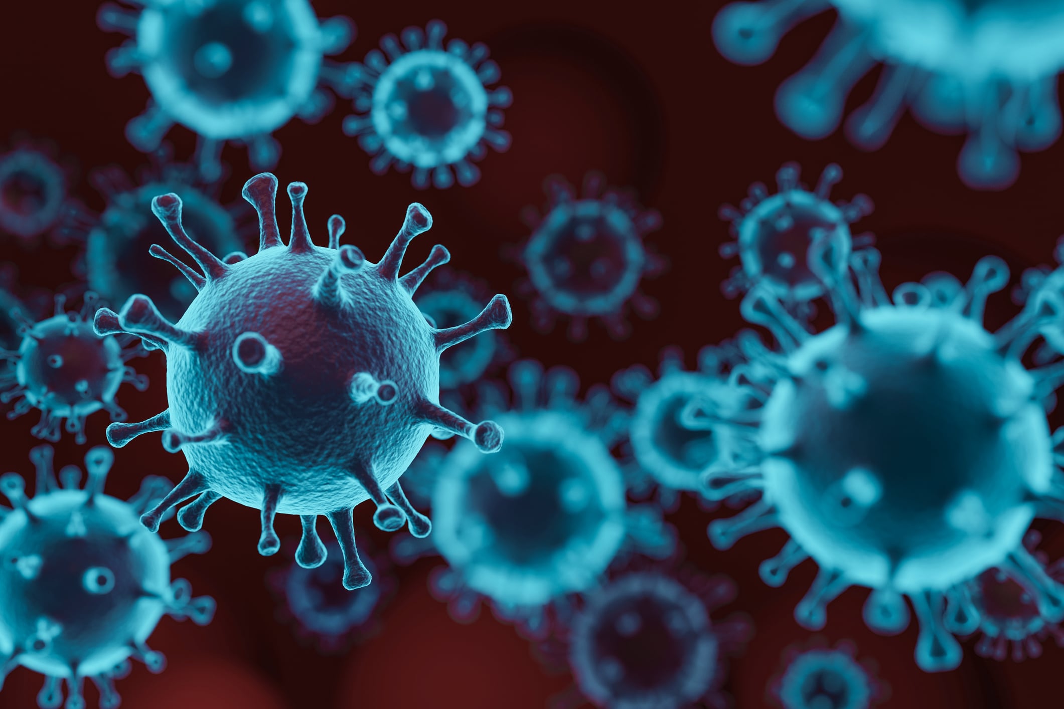 Lactoferrin exhibits COVID-19 protective effect in vitro 