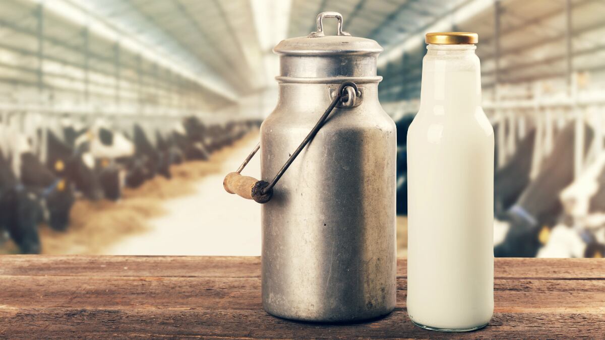 Fortified growing-up milk linked to better childhood nutrition intake: Kiwi RCT
