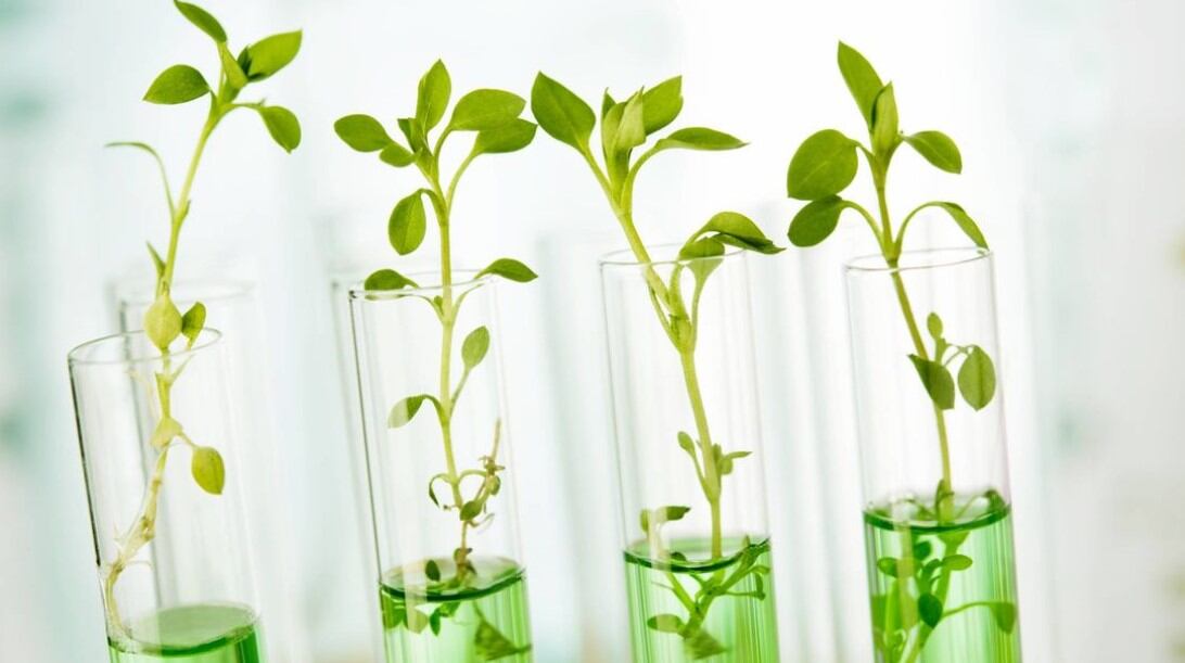 Evonik’ realigns’ portfolio to focus on nutrition and sustainability 