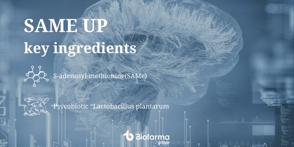 Brain-with-ingredients-600x300.png