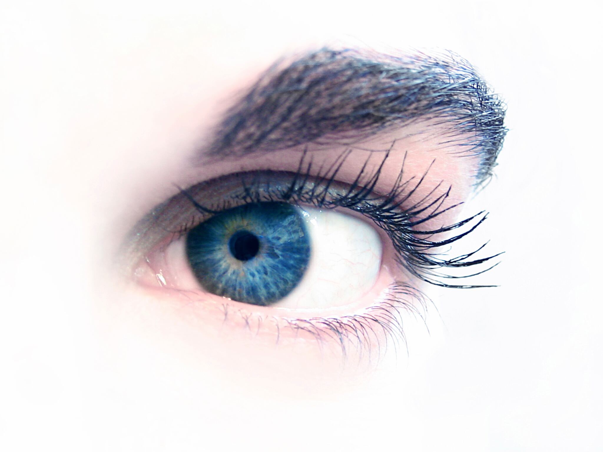 iStock_000000916607Medium.jpg