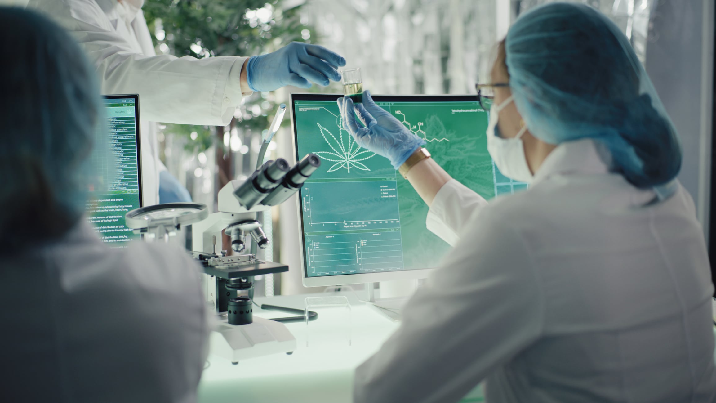 Yale study ‘opens new avenues’ for cannabinoids and chronic pain relief