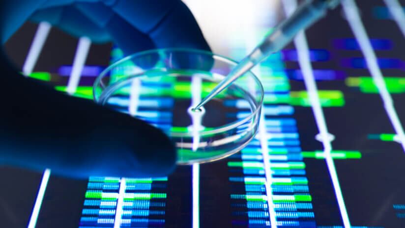 Preclinical models support biological plausibility, while human studies more often showed selective or exploratory benefits.