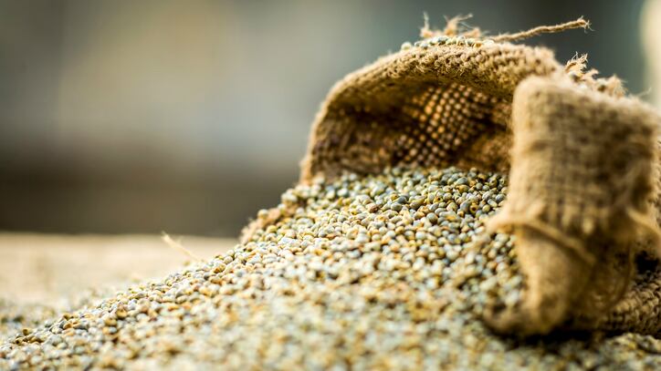 'Malnutrition-free India': Government sets standards for pearl millet fortification