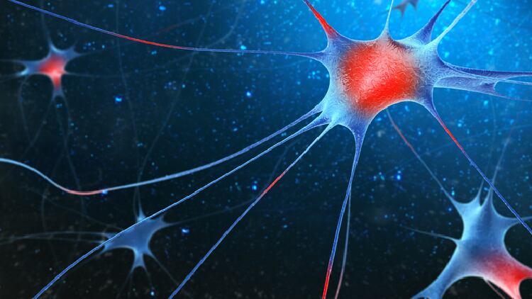 Tocotrienol-rich vitamin E speeds up nerve signal transmission in diabetic patients – Eight-week trial